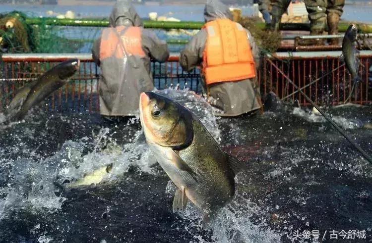 安徽省舒城万佛湖风景区新闻,舒城万佛湖全景视频