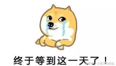 奢侈品牌猴年限量版,各大牌狗年限定