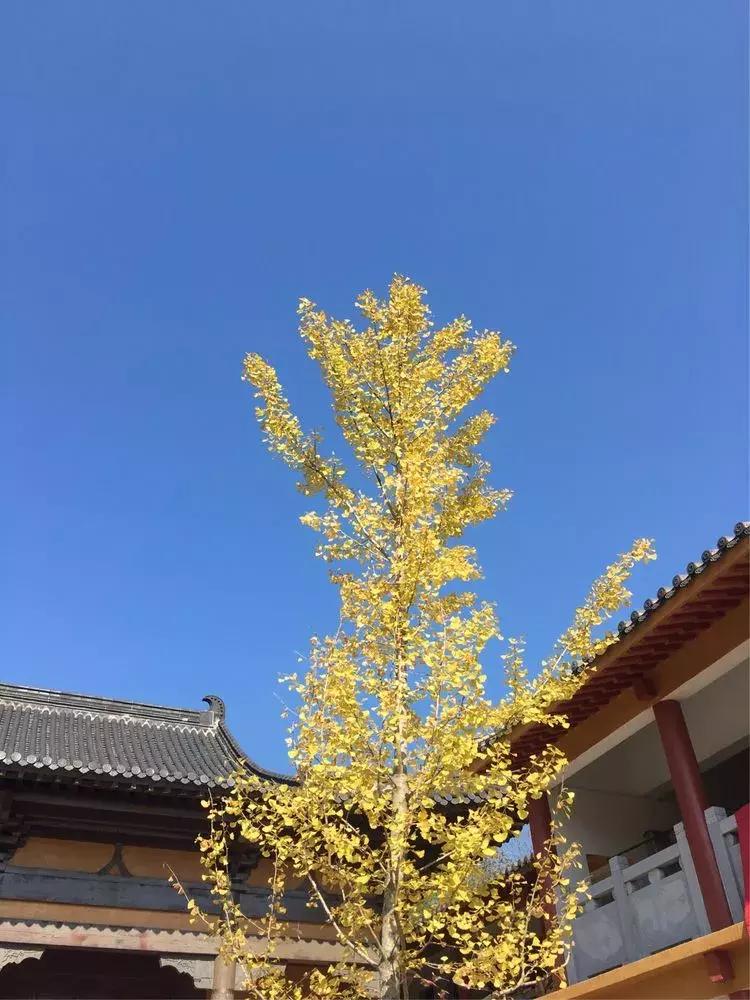 冬的深处，带你领略查济的一方天~