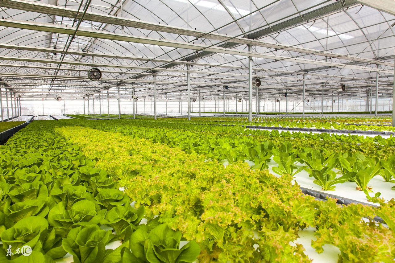 国外培育农业新型经营主体的方法,台湾休闲农业发展的模式