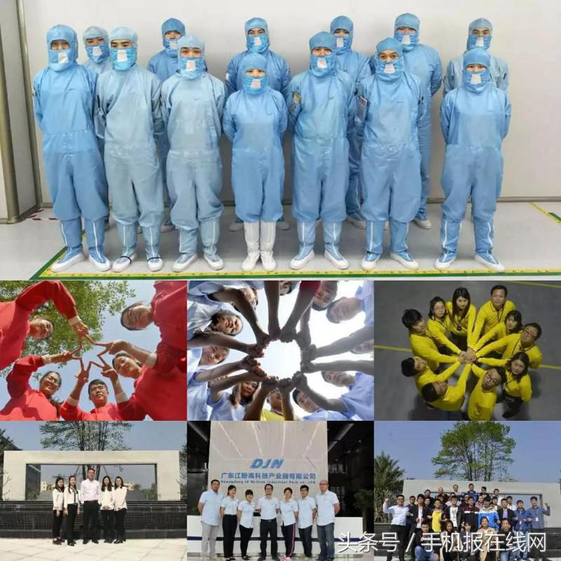 江门蓬江区帝晶,江门帝晶在江门哪个区