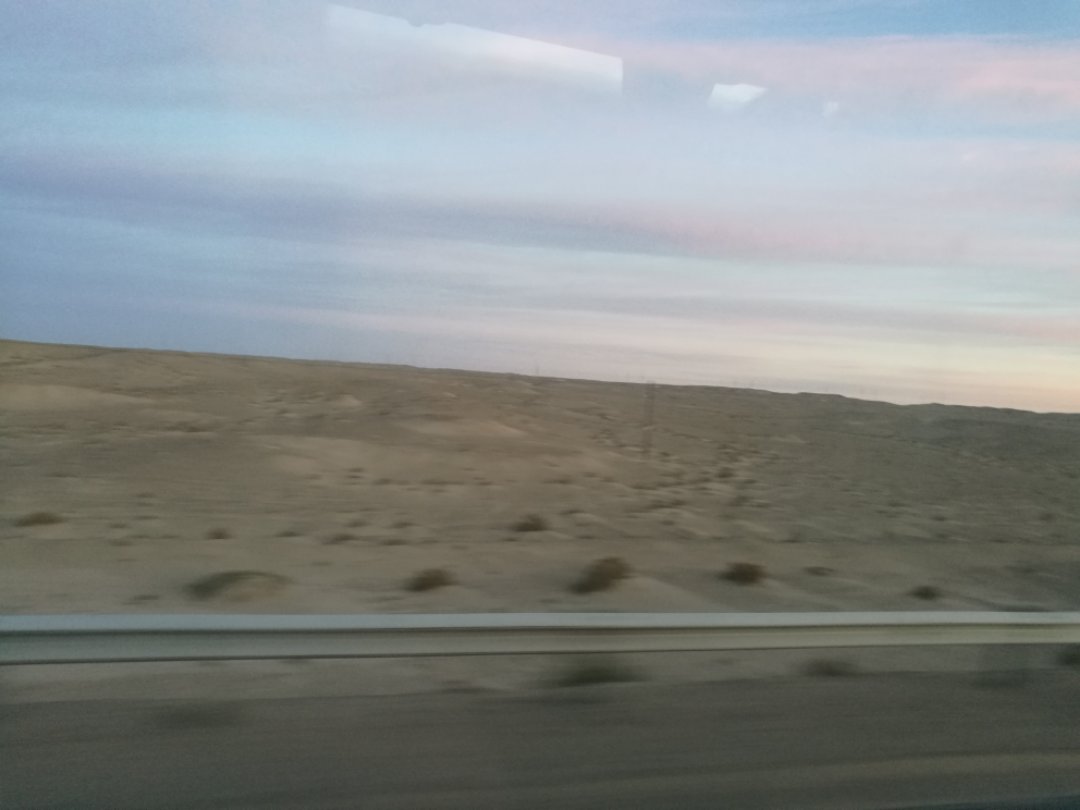 西北胡杨林旅游攻略,大西北环线胡杨林十日游