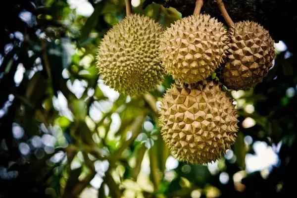 南宁重口味餐厅美食,南宁重口味美食
