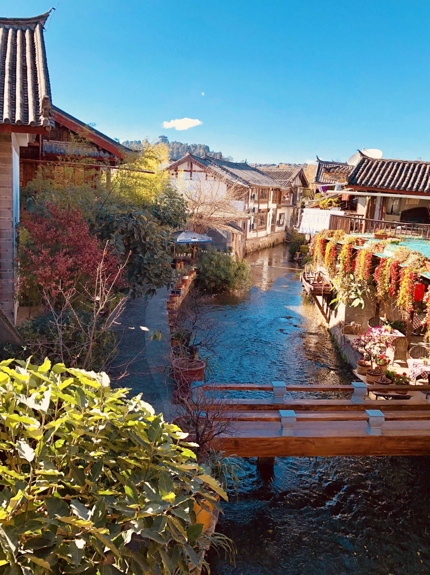 云南大理雪松文旅,雪松文旅旗下品牌大全