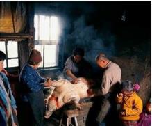 回味80后的童年乡村实景,怀念80年代乡村视频