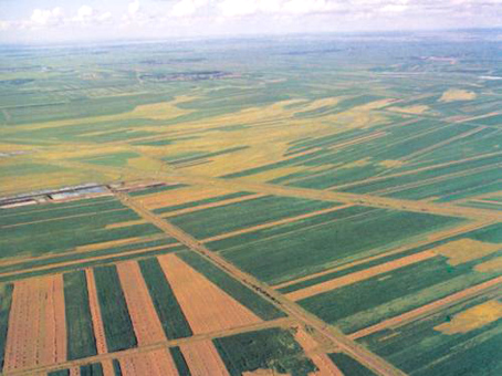 百万英雄出题需要答案么,百万英雄几道题