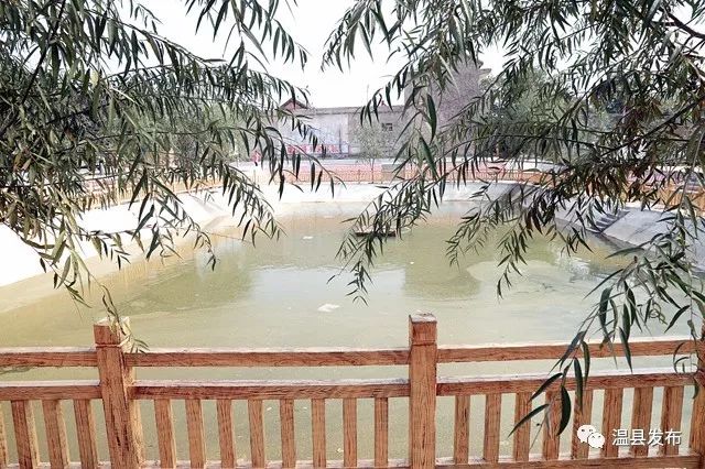 番田镇：深谋实干行稳致远