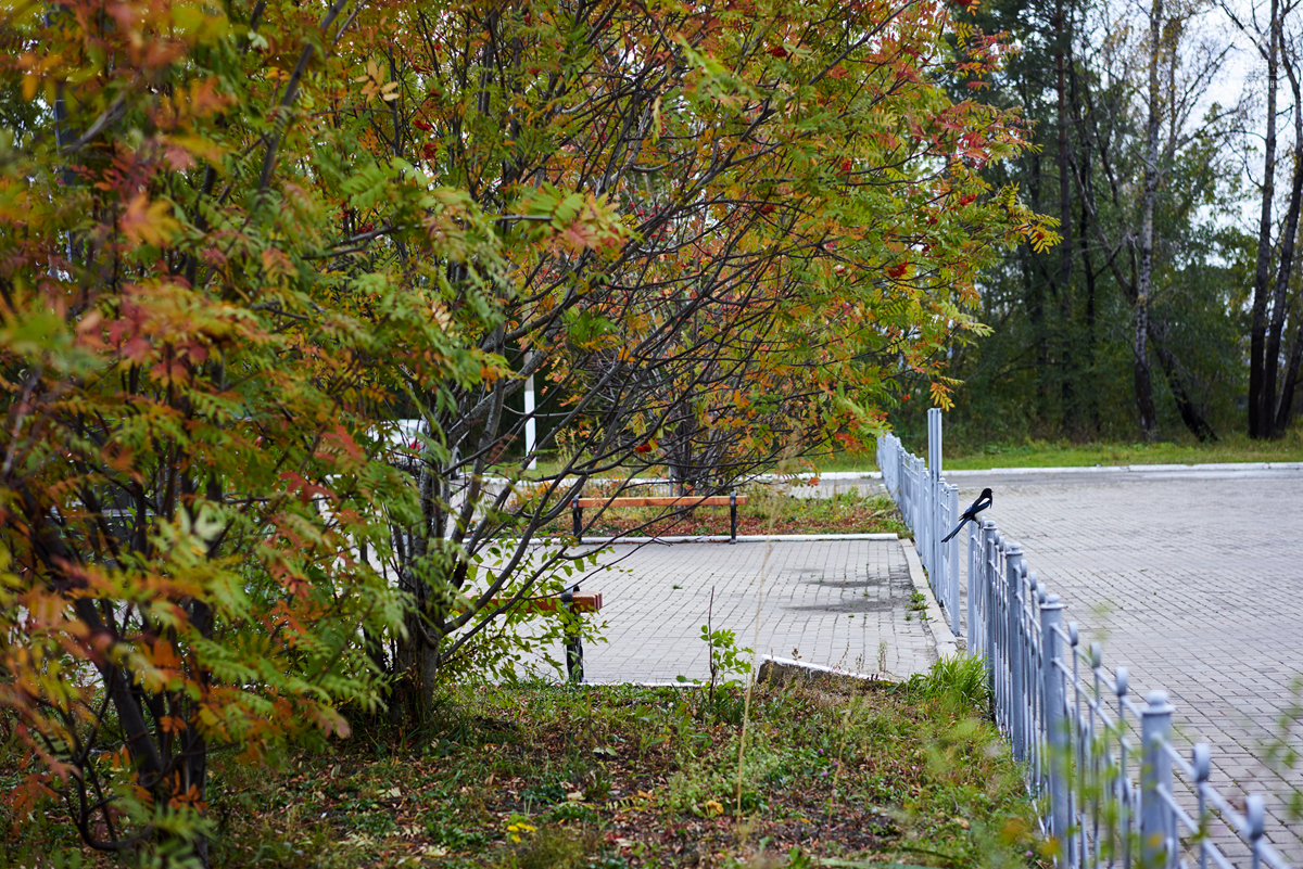 俄罗斯远东小镇全景,俄罗斯边疆区小镇