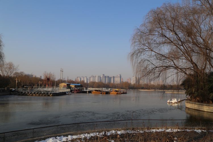 周一漫步隋唐植物园赏桃花,洛阳隋唐植物园春光