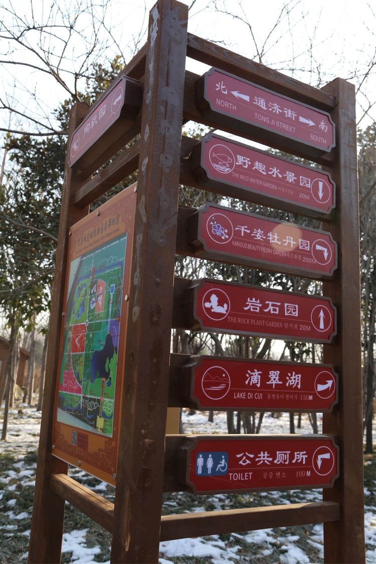 周一漫步隋唐植物园赏桃花,洛阳隋唐植物园春光