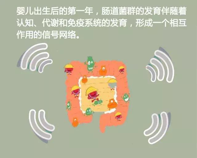 婴儿肠道菌群的定值与湿疹的发生+发展