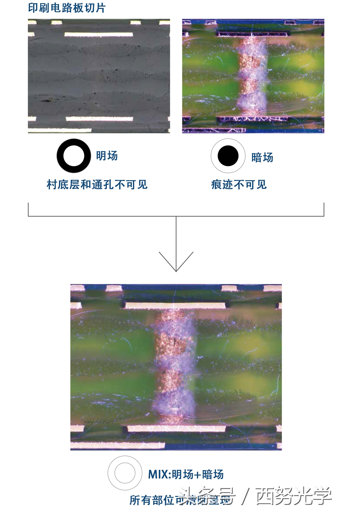 江苏常用奥林巴斯金相显微镜,金相光学显微镜解决方案