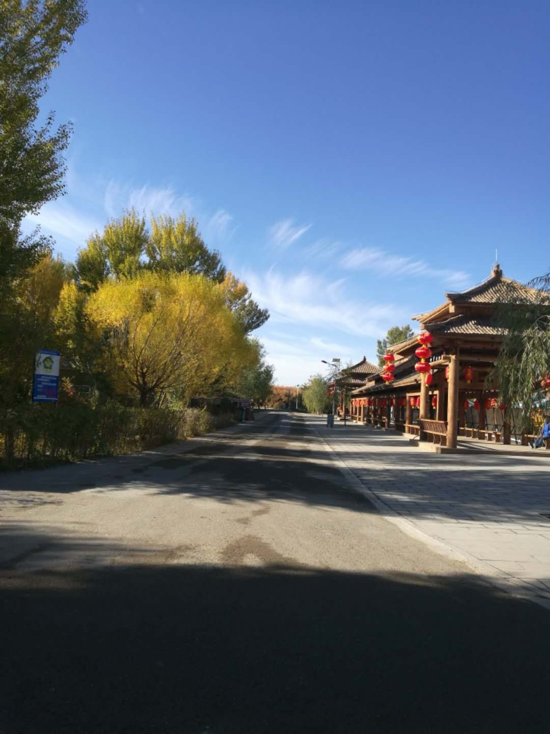 西北胡杨林旅游攻略,大西北环线胡杨林十日游