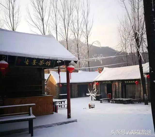 不做待宰的羔羊前面半句,不做束手待宰的羔羊