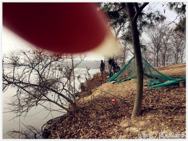 元旦出钓获大鲫，新年来个开门红