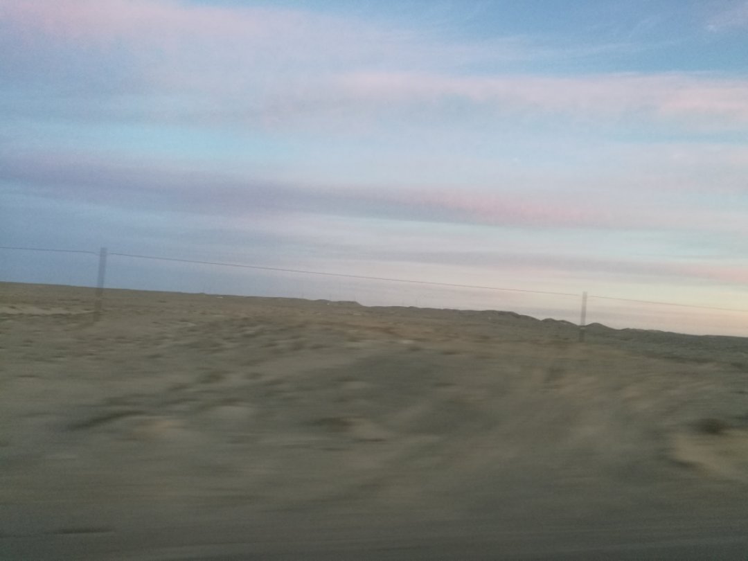 西北胡杨林旅游攻略,大西北环线胡杨林十日游