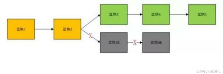 什么是ifo,ifo和imo区别