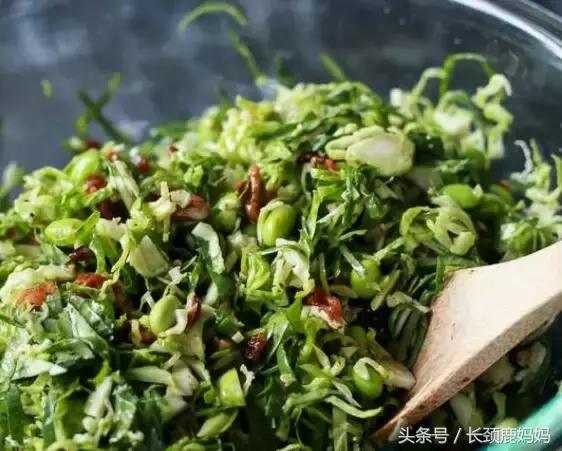 有机豆苗和西兰花营养,各种春季种的蔬菜苗