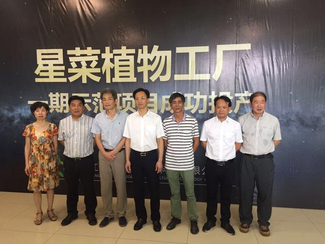 植物灯市场前景怎么样,植物照明市场占比