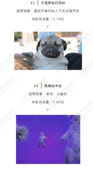 收好一波表情包,推荐一组表情包