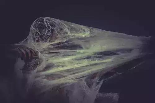 小红莓主唱死因新闻,小红莓乐队主唱去世新闻