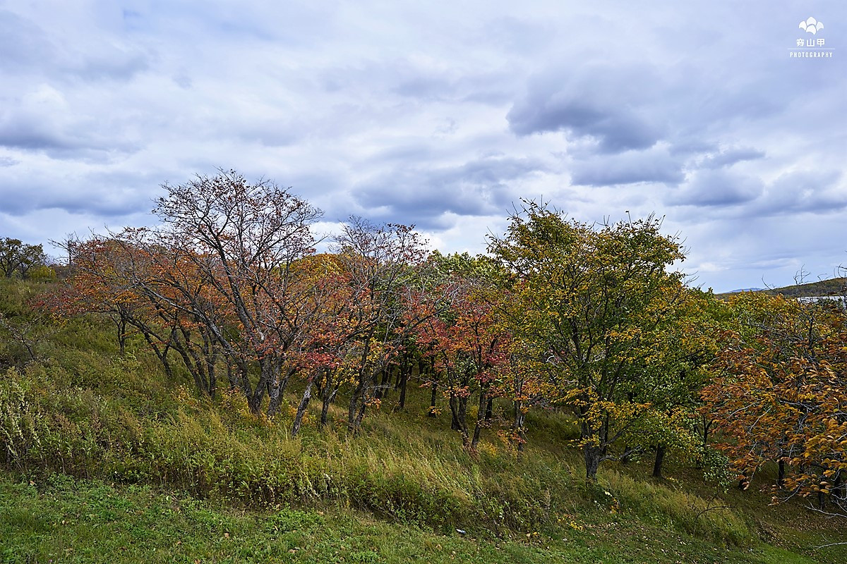 俄罗斯远东小镇全景,俄罗斯边疆区小镇