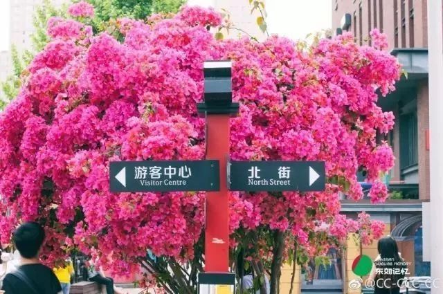 成都文艺惊艳的地方,成都最有文艺气息