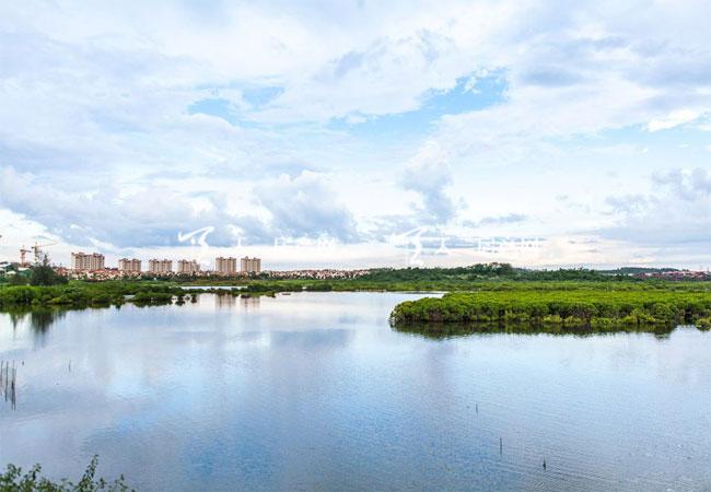 红树湾一期优点和缺点,富力红树湾优缺点