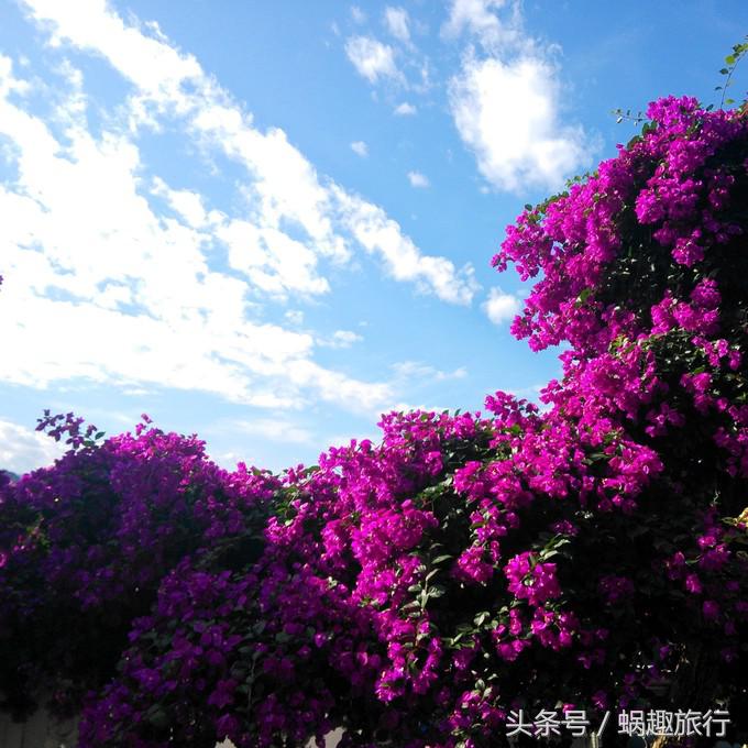 去台湾跟团游还是自由行,第一次去台湾跟团好还是自由行好