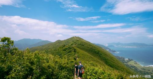 香港尖沙咀有什么地方可以逛,香港不只有繁华更有市井