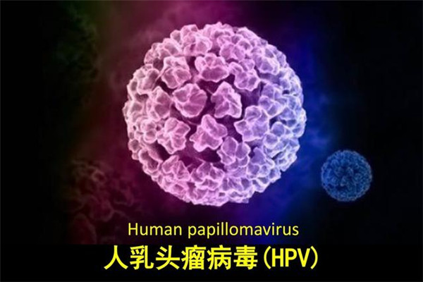 hpv在什么情况下才传染,hpv在什么情况下需要住院治疗