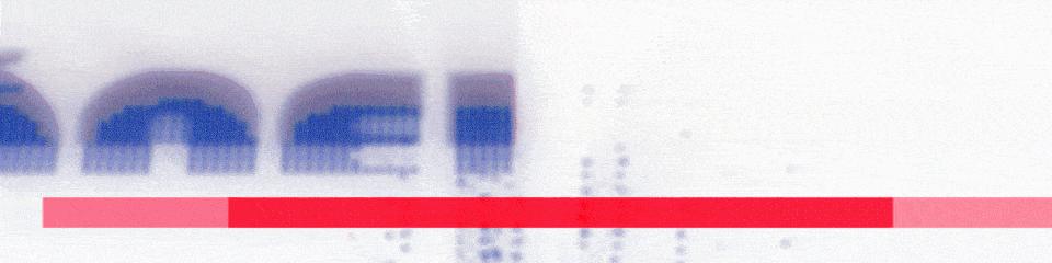 nike专卖店可以投诉吗,nike门店买到假鞋怎么赔付