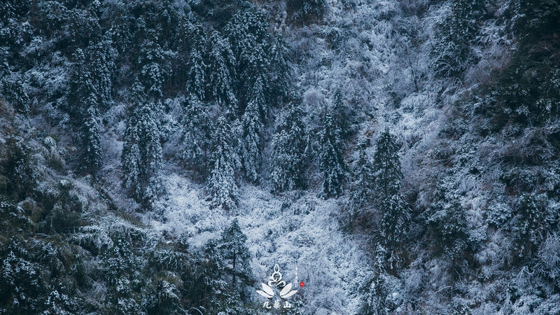 佛门圣地安徽九华山,九华山求佛一日游