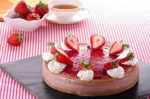 k9知识,k9小知识