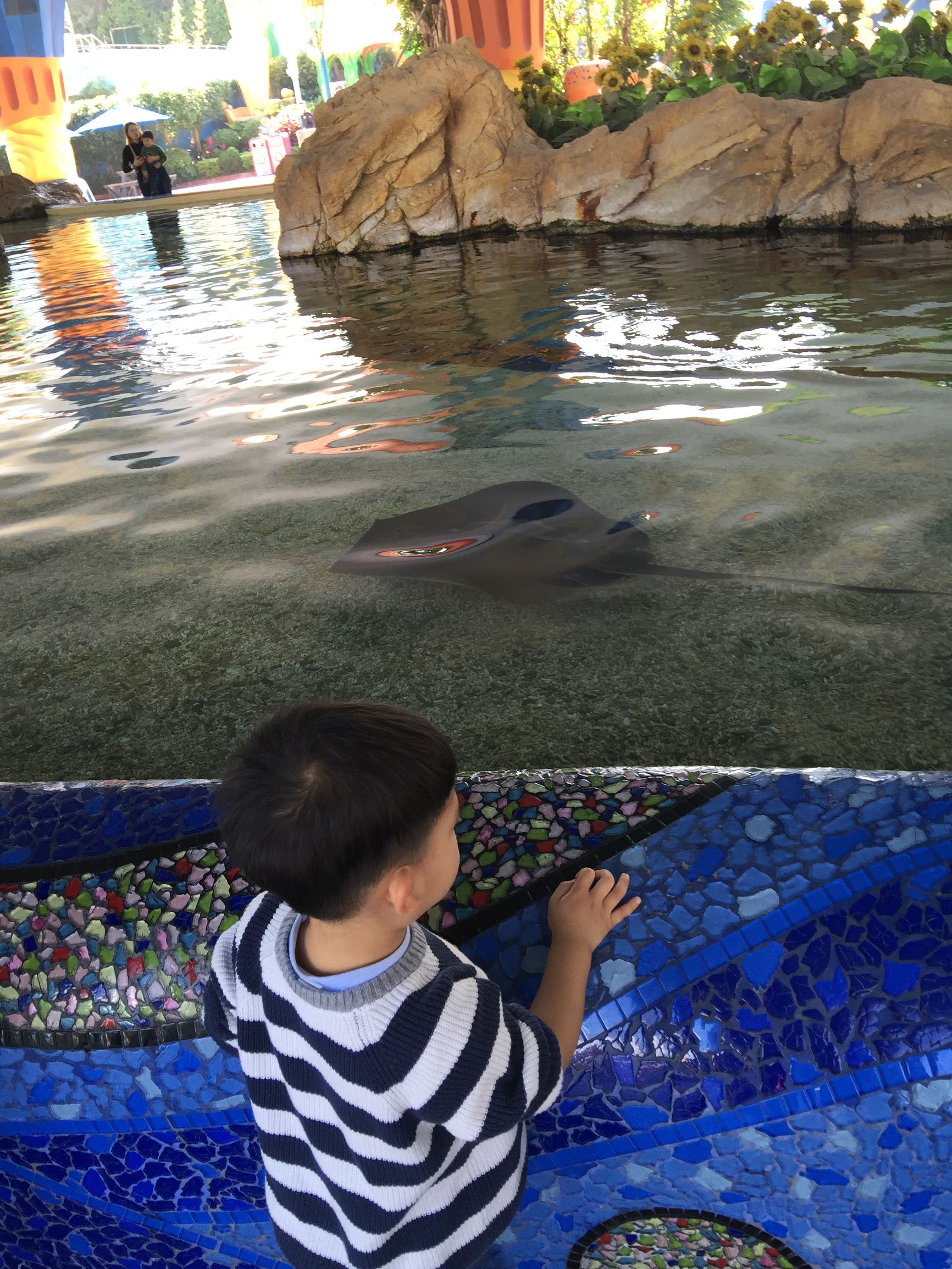 珠海长隆水上乐园亲子游攻略,珠海长隆企鹅酒店攻略亲子游