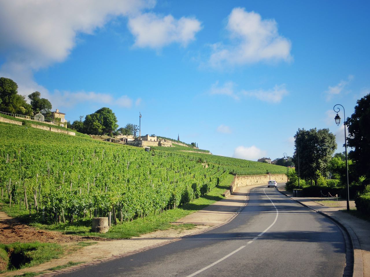 cestlavie南宁店,漫步法国葡萄酒之旅