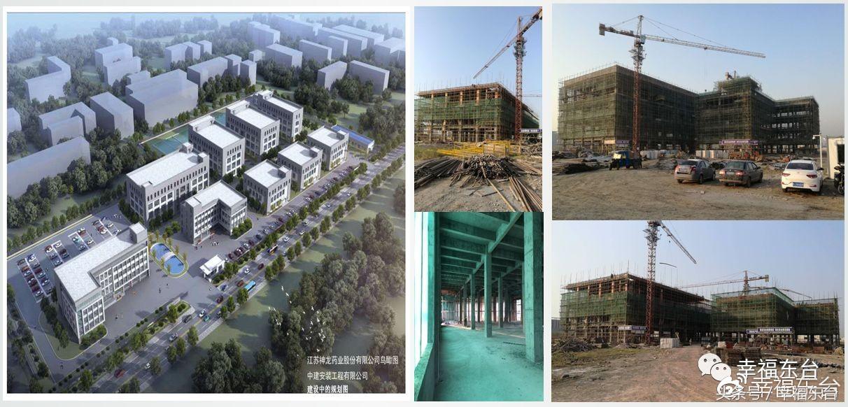 盐城神龙公司最新招聘信息,江苏东台神龙药业