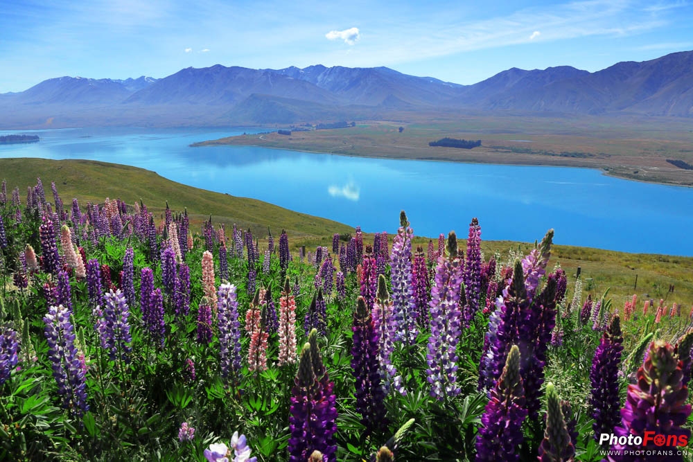 eos相机6d,微单相机eosm6ii