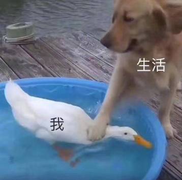 气温狂降至-10℃！青岛人盼的雪又要来了！还连下两天！