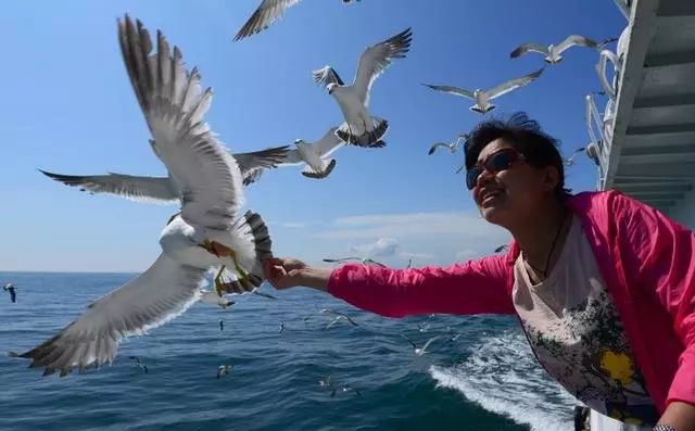 浠欏娴峰哺榄呭姏鐗熷钩,鐑熷彴闀垮矝娴蜂笂椋庡厜