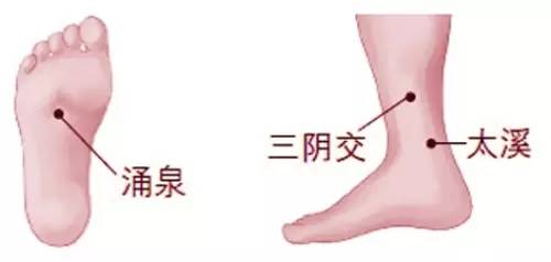 黄帝内经肾乃先天之本百病之源,黄帝内经先天之本