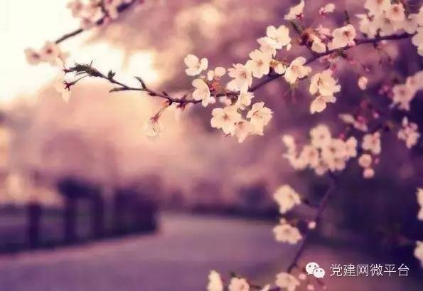 3是吉祥数吗,3是什么数字含义