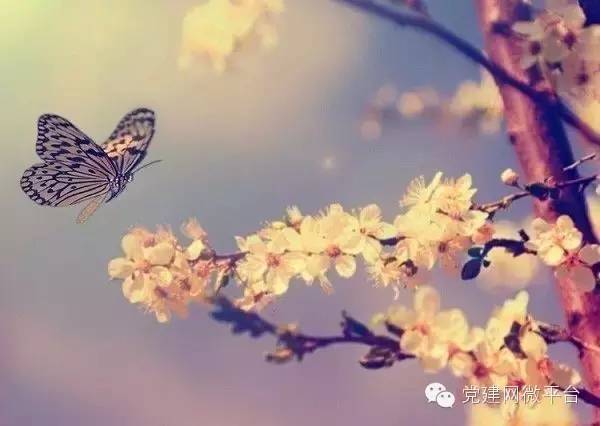 3是吉祥数吗,3是什么数字含义