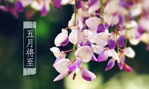 最近深圳市有哪些新闻,深圳今日新闻热门