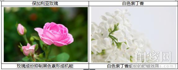 美白不等于去黄,美白祛黄提亮肤色入门级