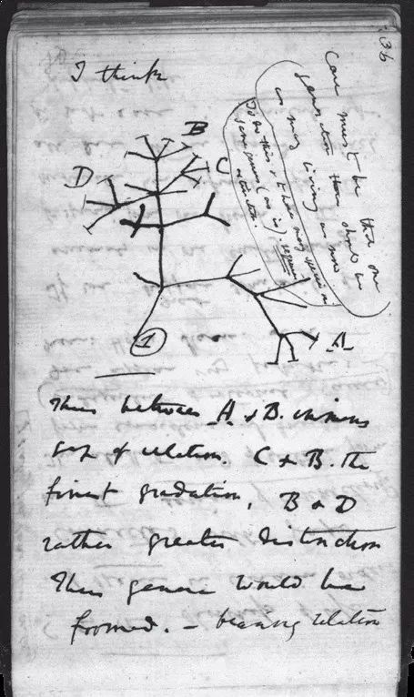 此书太精彩！把科学传记写出了推理小说的感觉丨读书者说