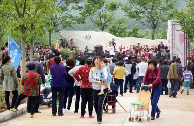 赏玫瑰摘西瓜这个假期有福喽