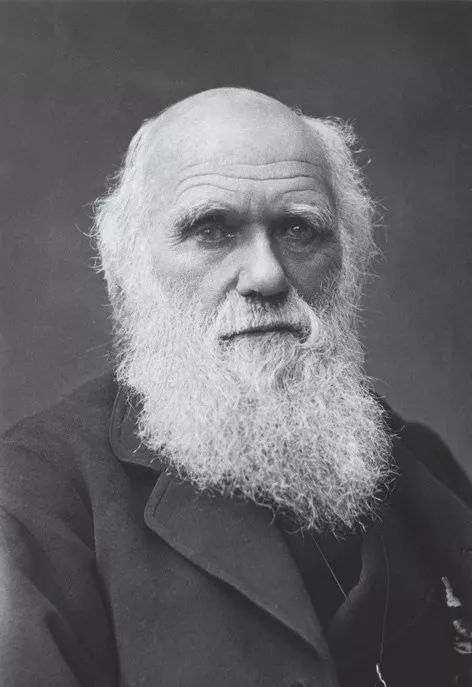 此书太精彩！把科学传记写出了推理小说的感觉丨读书者说