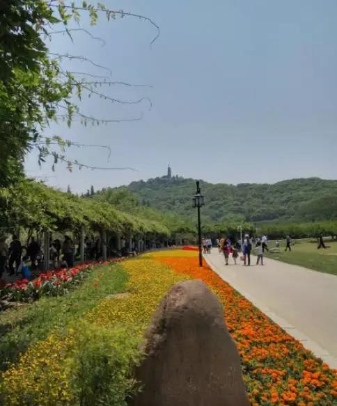 你是准备来看网红的还是来避暑的？今天万达起码华氏38度！