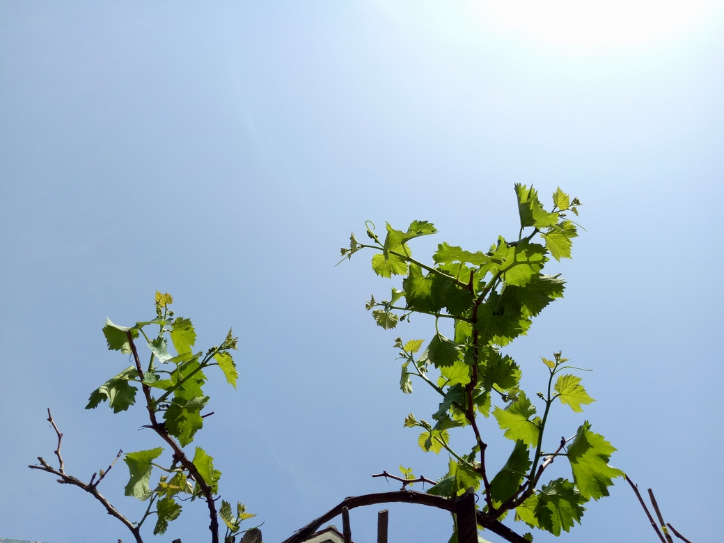 oppor9现在使用感受 (深度了解oppor9)